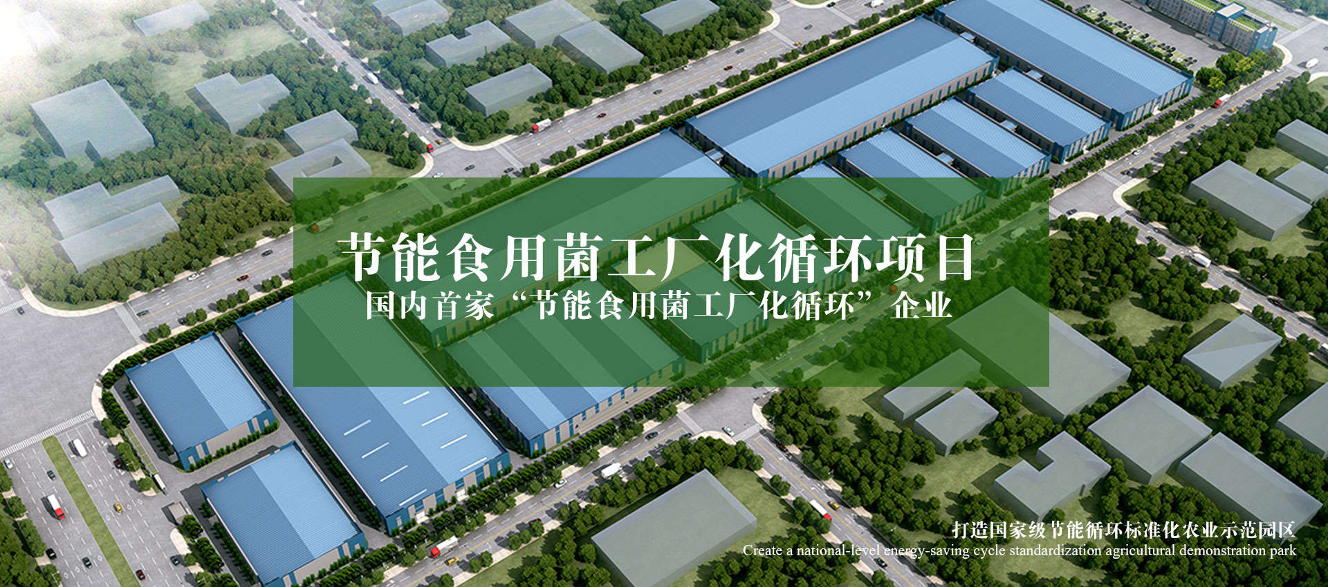 爱游戏体育官网