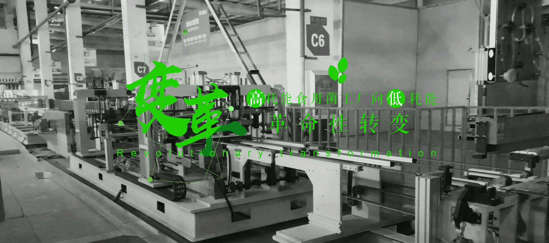 爱游戏体育在线